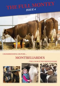 FRONT COVER 2019